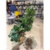 Image 1 : Artificial plant