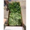 Image 1 : Box of greenery