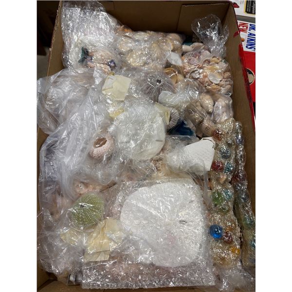 Shells sand dollars and marbles