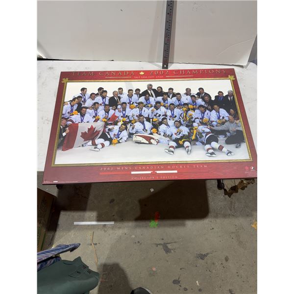 Team Canada 2002 champion wild decor