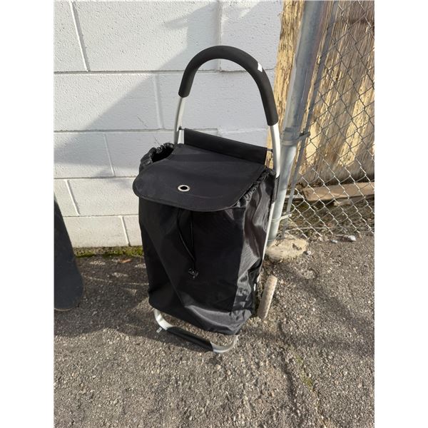 Rolling cart bag