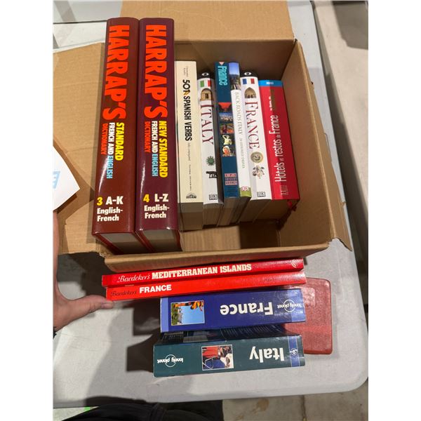 Language books and dictionaries