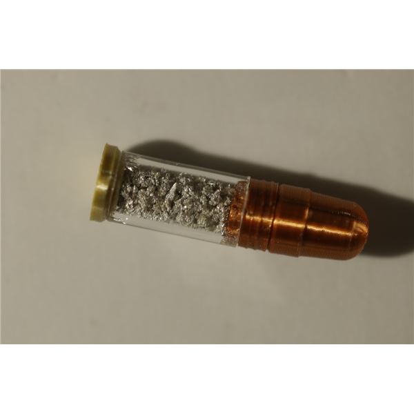 1 GRAM SILVER IN PLASTIC .22 SHELL