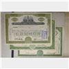 Image 6 : 6 STOCK CERTIFICATES: SPARTANS, ACF INDUSTRIES,