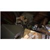 Image 2 : CONTENTS OF ELECTRICAL ROOM. SEVERAL BOXES CAT 6 AND COMMUNICATION CABLES, SHOP HEATER, ELECTRIC