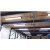 Image 11 : INDUSTRIAL REMOVABLE MEZZANINE. MEASURES 13'10"X18'6"X10'H. WITH LIGHTING AND 2X10" AND