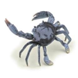 Blue Crab