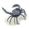 Image 1 : Blue Crab