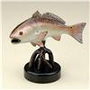 Image 1 : Redfish