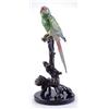 Image 1 : Parrot on Branch