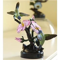 White Eared Hummingbird