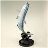 Image 1 : Cracker (Tarpon)