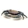 Image 1 : Large Blue point Crab