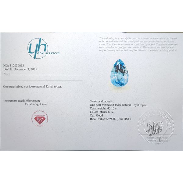 $9,900 Appraisal - 45.1 ct Cert. Royal Blue Topaz Gemstone