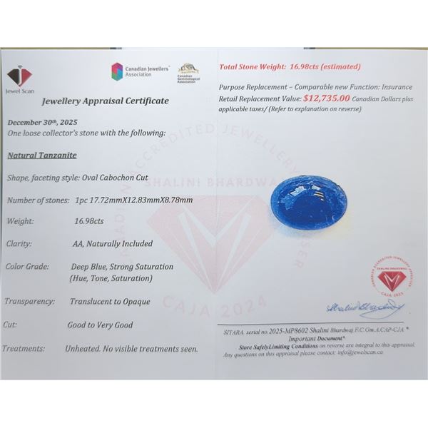 $12,735 Appraisal - 16.98 ct Cert. Tanzanite Gemstone