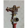 Image 2 : Lawn Sprinkler & Hose