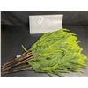 Image 2 : 12-Pack of 18" Norfolk Pine Branches/Artificial Pine Stems for DIY Faux Greenery Plant Decor - New