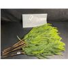 Image 3 : 12-Pack of 18" Norfolk Pine Branches/Artificial Pine Stems for DIY Faux Greenery Plant Decor - New