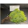 Image 3 : 12-Pack of 18" Norfolk Pine Branches/Artificial Pine Stems for DIY Faux Greenery Plant Decor - New