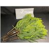 Image 2 : 12-Pack of 18" Norfolk Pine Branches/Artificial Pine Stems for DIY Faux Greenery Plant Decor - New
