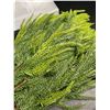 Image 4 : 12-Pack of 18" Norfolk Pine Branches/Artificial Pine Stems for DIY Faux Greenery Plant Decor - New