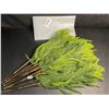 Image 3 : 12-Pack of 18" Norfolk Pine Branches/Artificial Pine Stems for DIY Faux Greenery Plant Decor - New