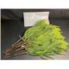 Image 3 : 12-Pack of 18" Norfolk Pine Branches/Artificial Pine Stems for DIY Faux Greenery Plant Decor - New