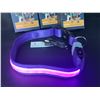 Image 2 : 3 Masbrill LED Light-Up Dog Collars - Rechargeable/Rainproof Super-Bright Design (Size M - Purple)