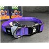 Image 3 : 3 Masbrill LED Light-Up Dog Collars - Rechargeable/Rainproof Super-Bright Design (Size M - Purple)