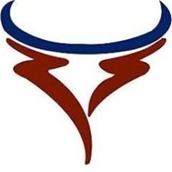 Lot 20 - 2 Bred Cows - 1747 avg.