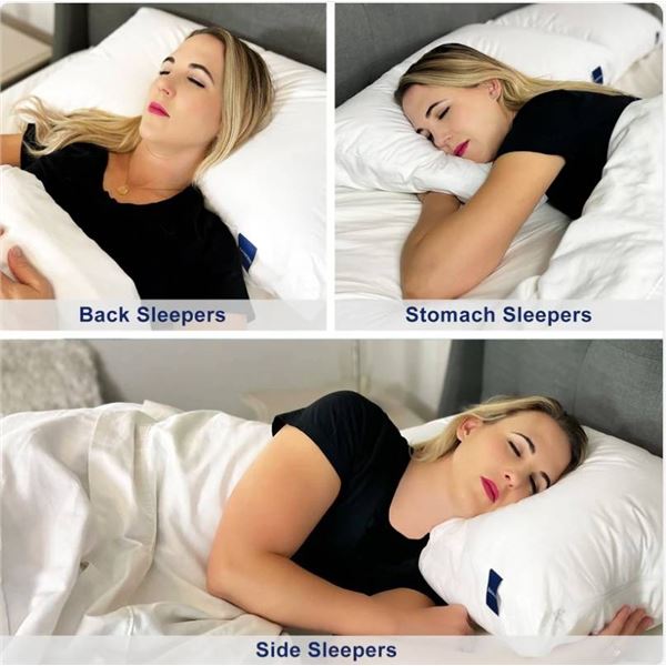 Accuratex Hybrid Shredded Memory Foam Pillow 18″ x 24″ Pack of 2