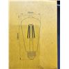 Image 3 : Ascher E26 Decorative Bulb Set, 6W LED, Non-Dimmable, CRI 80+