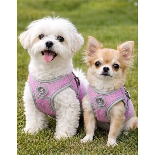 Lot of 2 Size Small Adjustable Pet Harnesses in Gray and Purple