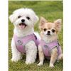 Image 1 : Lot of 2 Size Small Adjustable Pet Harnesses in Gray and Purple
