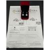 Image 5 : $1430 APPRAISED 2.00 CARAT HALO CUT EARRING SET