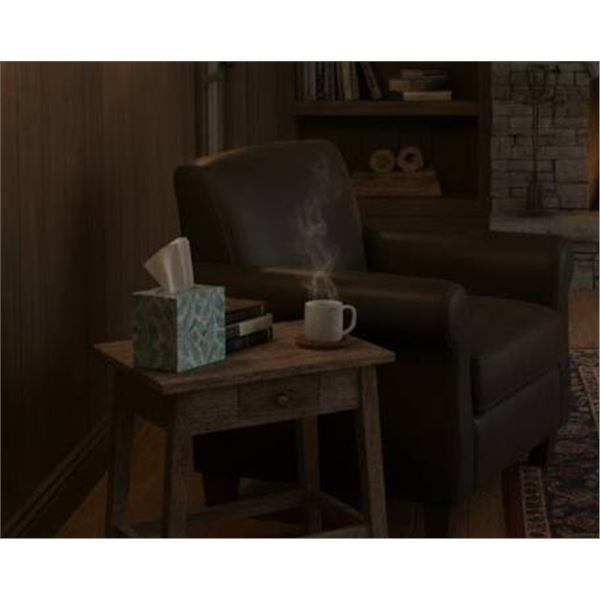 Scotties Facial Tissues, 2-Ply, 20 Boxes Assorted Designs