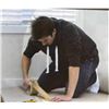 Image 1 : Lot of 20 – Shopmaster Floor Protector Tape, 3″ x 164′
