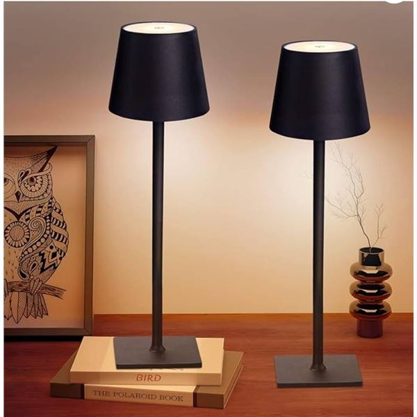 Pack of 2 Mikasa Touch Control Rechargeable LED Lamps