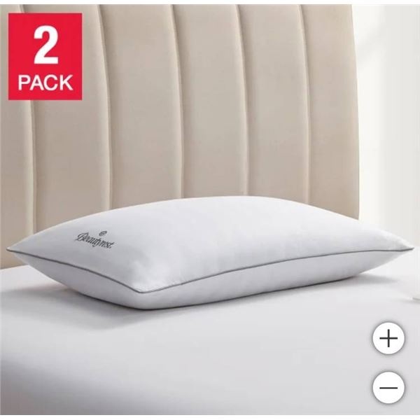 Beautyrest Platinum Feather & Down Pillow 2-Pack, Standard Size