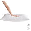 Image 2 : Beautyrest Platinum Feather & Down Pillow 2-Pack, Standard Size