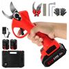 Image 1 : Wanxo Lithium Electric Pruning Scissors Set with Accessories