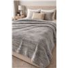 Image 1 : Gray Queen-Sized Blanket