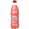 Image 1 : Canada Dry Southern Peach Ginger Ale 24 x 500 mL Bottles