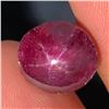Image 1 : 5.53 ct Certified Star Ruby gemstone ($8,150 Appraisal)