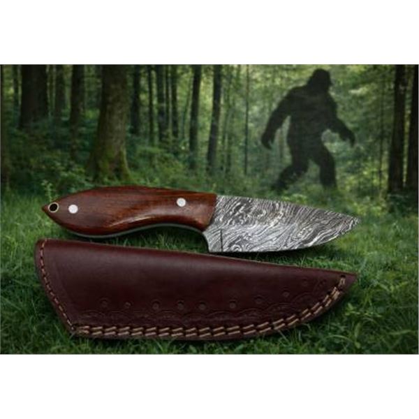 Damascus Steel Fixed Blade Knife With Wood Handle and Sheath