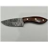 Image 4 : Damascus Steel Fixed Blade Knife With Wood Handle and Sheath