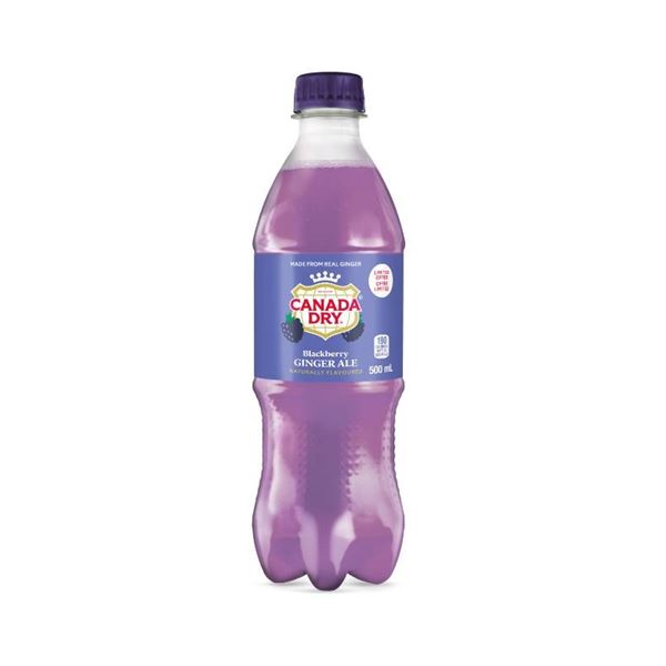 Canada Dry Blackberry Soda, 24 x 500 mL Bottles