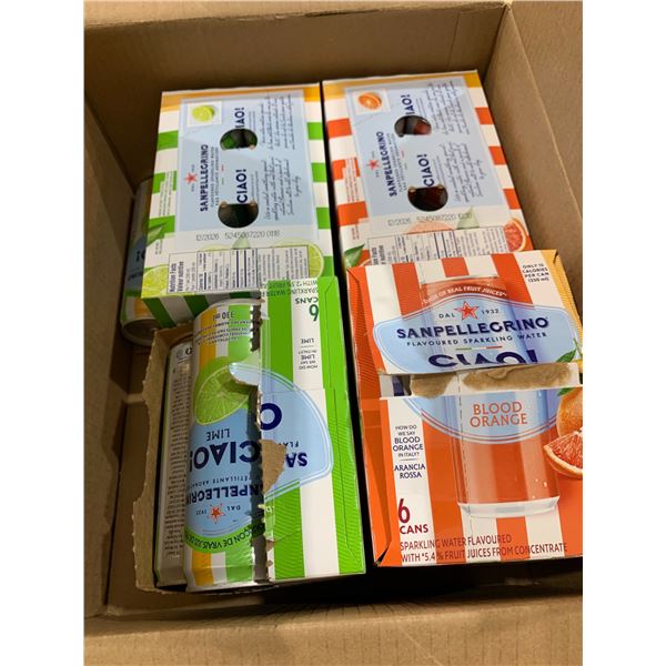 San Pellegrino Sparkling Water Assorted Flavours 4×6 Packs