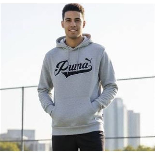 Puma Youth Hoodie in Gray with Logo Design Size XL (14/16)