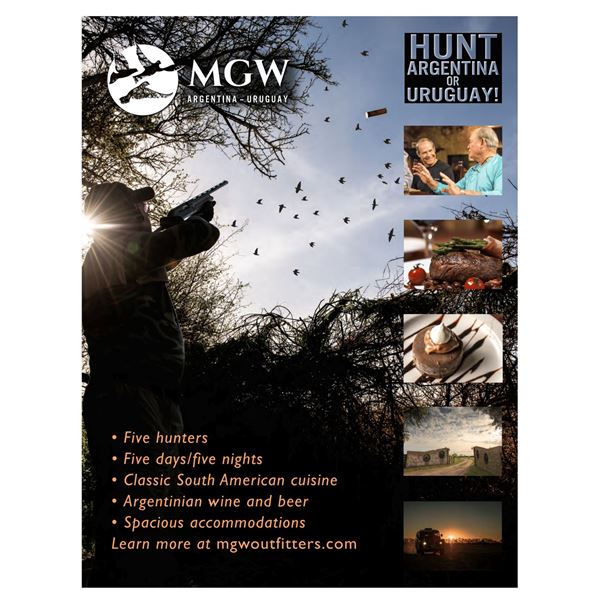 Winner's Choice Dove Hunt for 5 Hunters